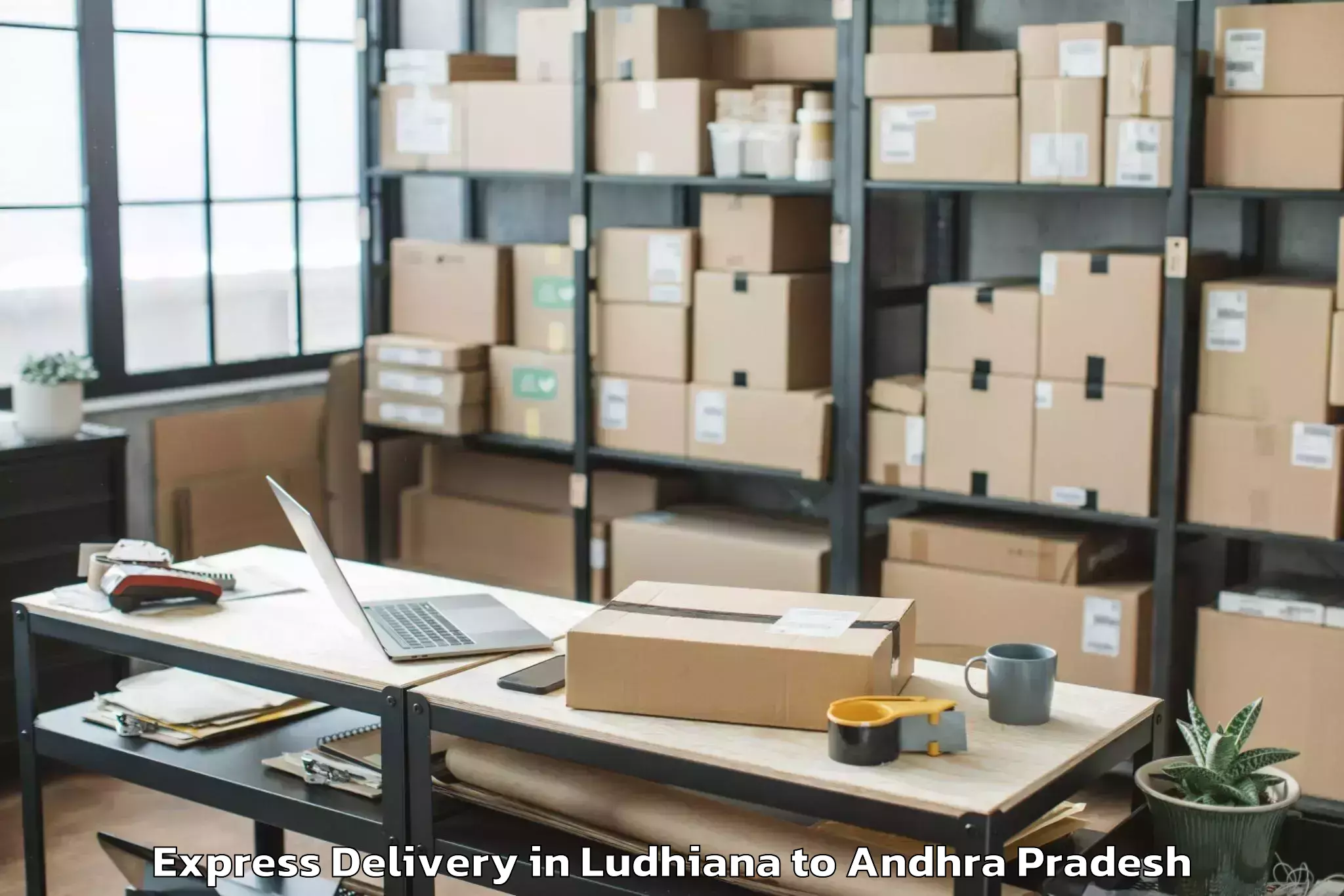 Professional Ludhiana to Hanumathunipadu Express Delivery